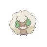 Mystic Whimsicott